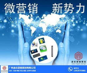 凌志營(yíng)銷(xiāo)策劃 構(gòu)建白云區(qū)網(wǎng)絡(luò)推廣與信息安全一體化的解決方案